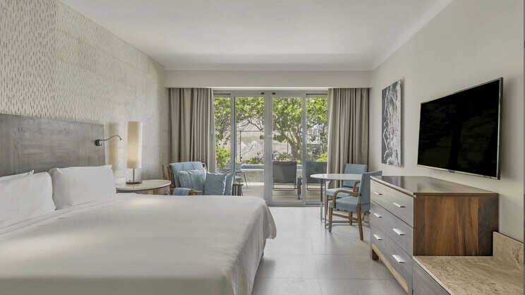 Premium Room with Plunge Pool, 1 King 